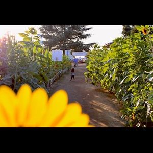 Meet your Posher, Jaeli